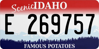 ID license plate E269757