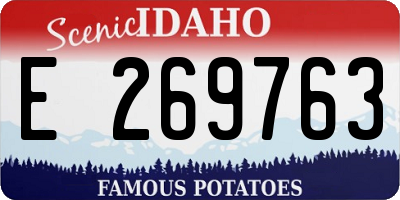 ID license plate E269763