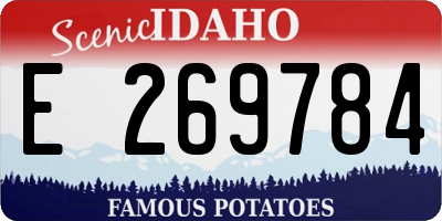 ID license plate E269784