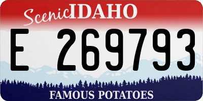 ID license plate E269793