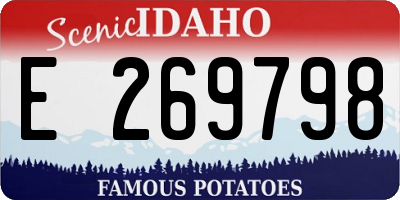 ID license plate E269798