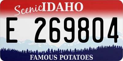 ID license plate E269804