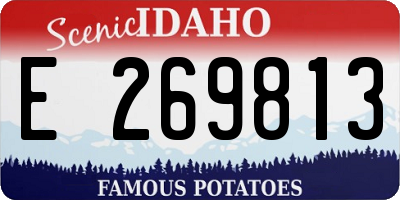 ID license plate E269813