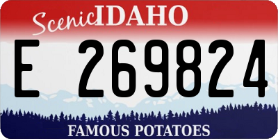 ID license plate E269824