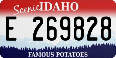 ID license plate E269828