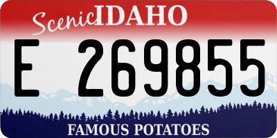 ID license plate E269855