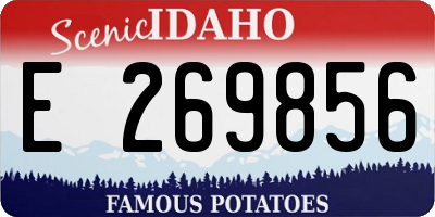 ID license plate E269856