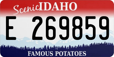ID license plate E269859