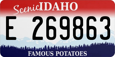 ID license plate E269863