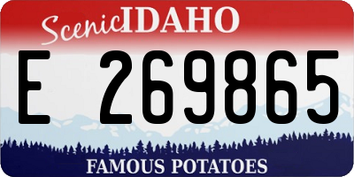 ID license plate E269865