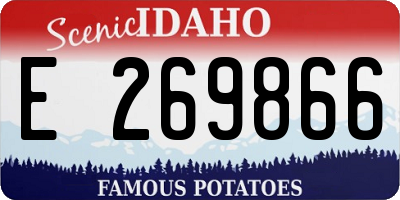 ID license plate E269866