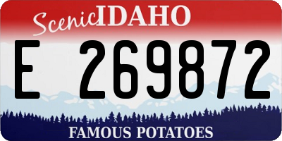 ID license plate E269872