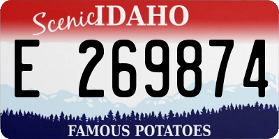 ID license plate E269874