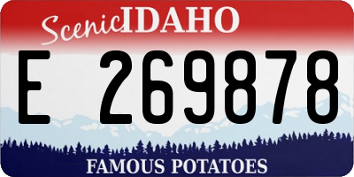 ID license plate E269878