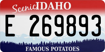 ID license plate E269893