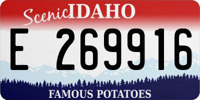ID license plate E269916