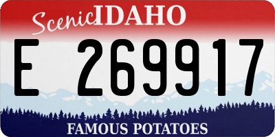 ID license plate E269917