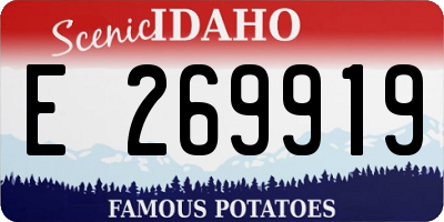 ID license plate E269919