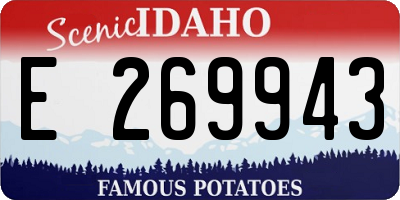 ID license plate E269943