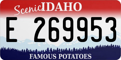 ID license plate E269953