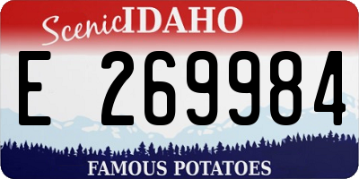 ID license plate E269984