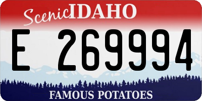 ID license plate E269994