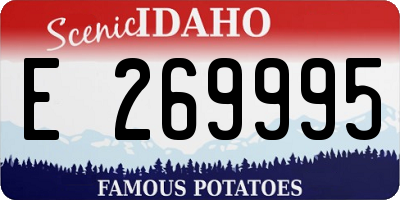 ID license plate E269995