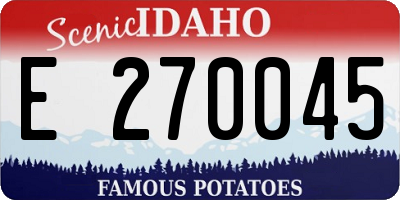 ID license plate E270045