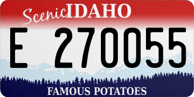 ID license plate E270055