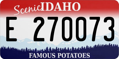 ID license plate E270073