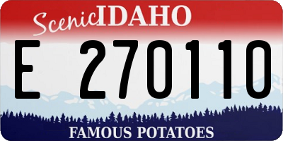 ID license plate E270110