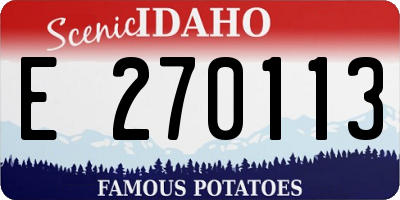 ID license plate E270113
