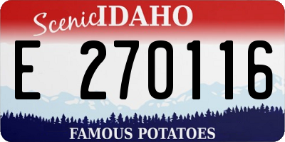 ID license plate E270116