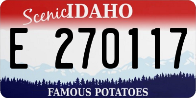 ID license plate E270117