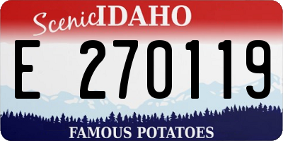 ID license plate E270119