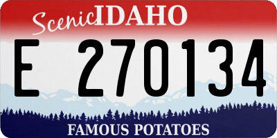 ID license plate E270134