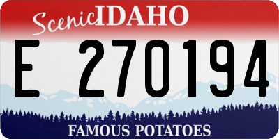 ID license plate E270194