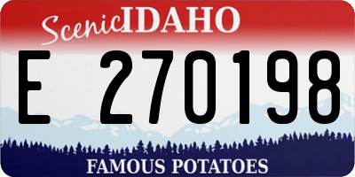 ID license plate E270198