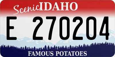 ID license plate E270204