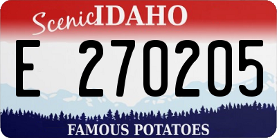 ID license plate E270205