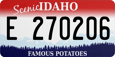 ID license plate E270206