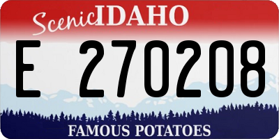 ID license plate E270208