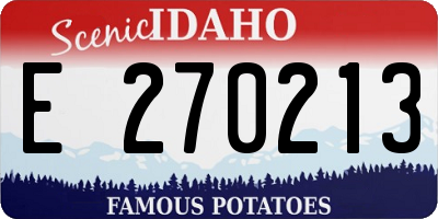 ID license plate E270213
