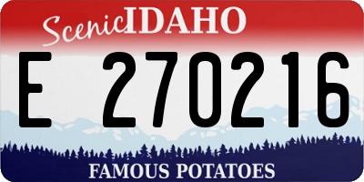 ID license plate E270216