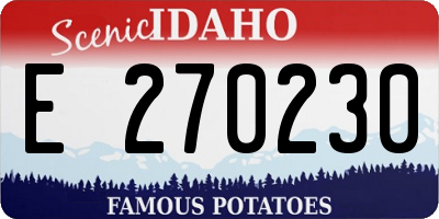 ID license plate E270230