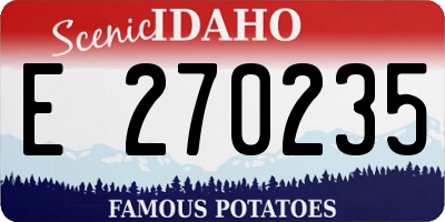 ID license plate E270235