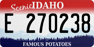 ID license plate E270238