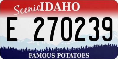 ID license plate E270239