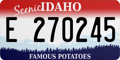 ID license plate E270245