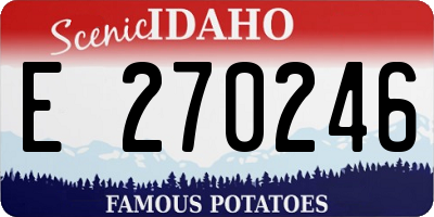 ID license plate E270246